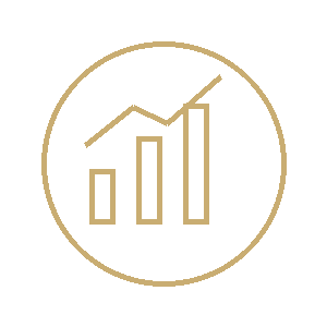 Commercial Advantage Icon
